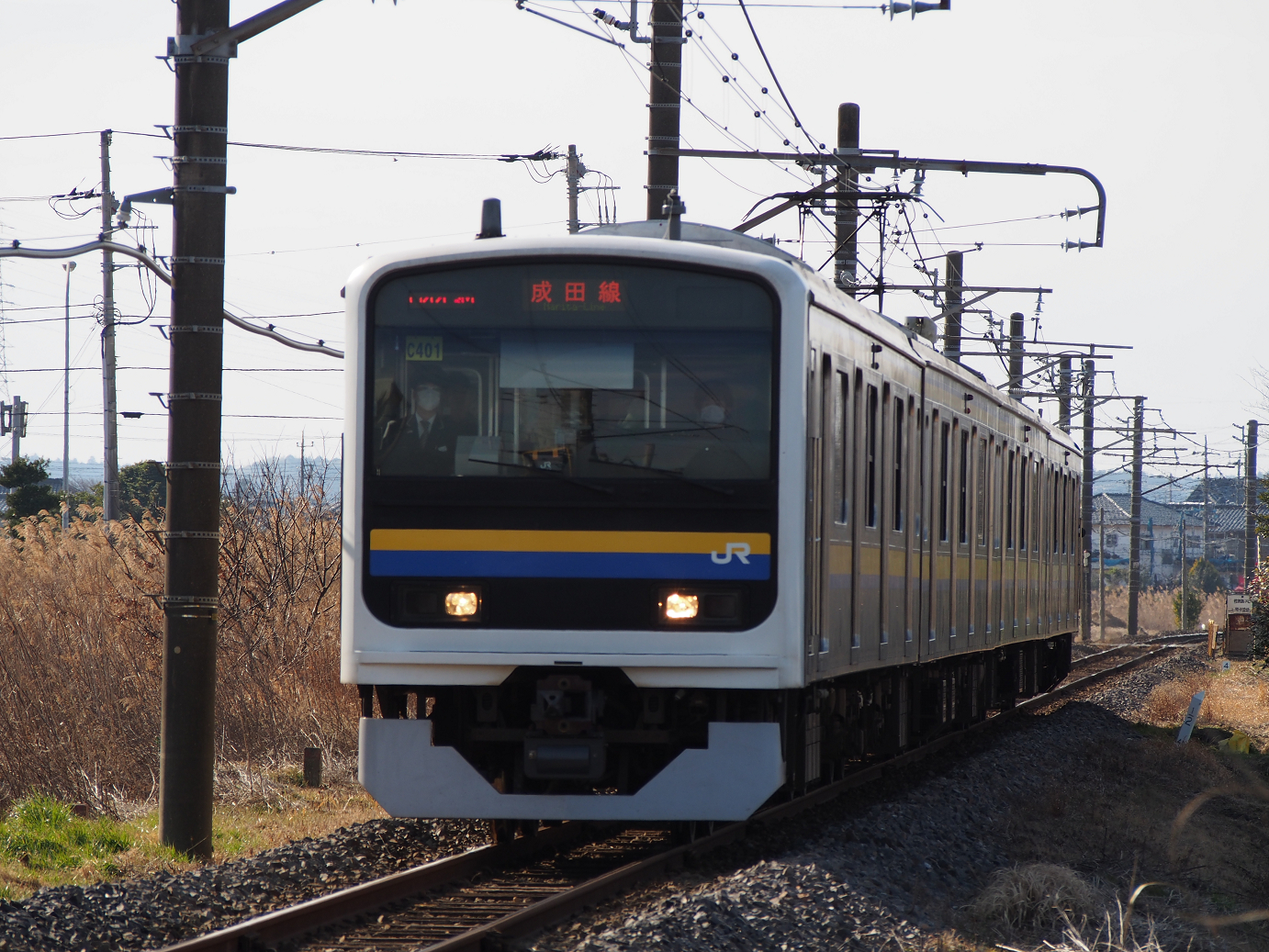 P2050857.jpg