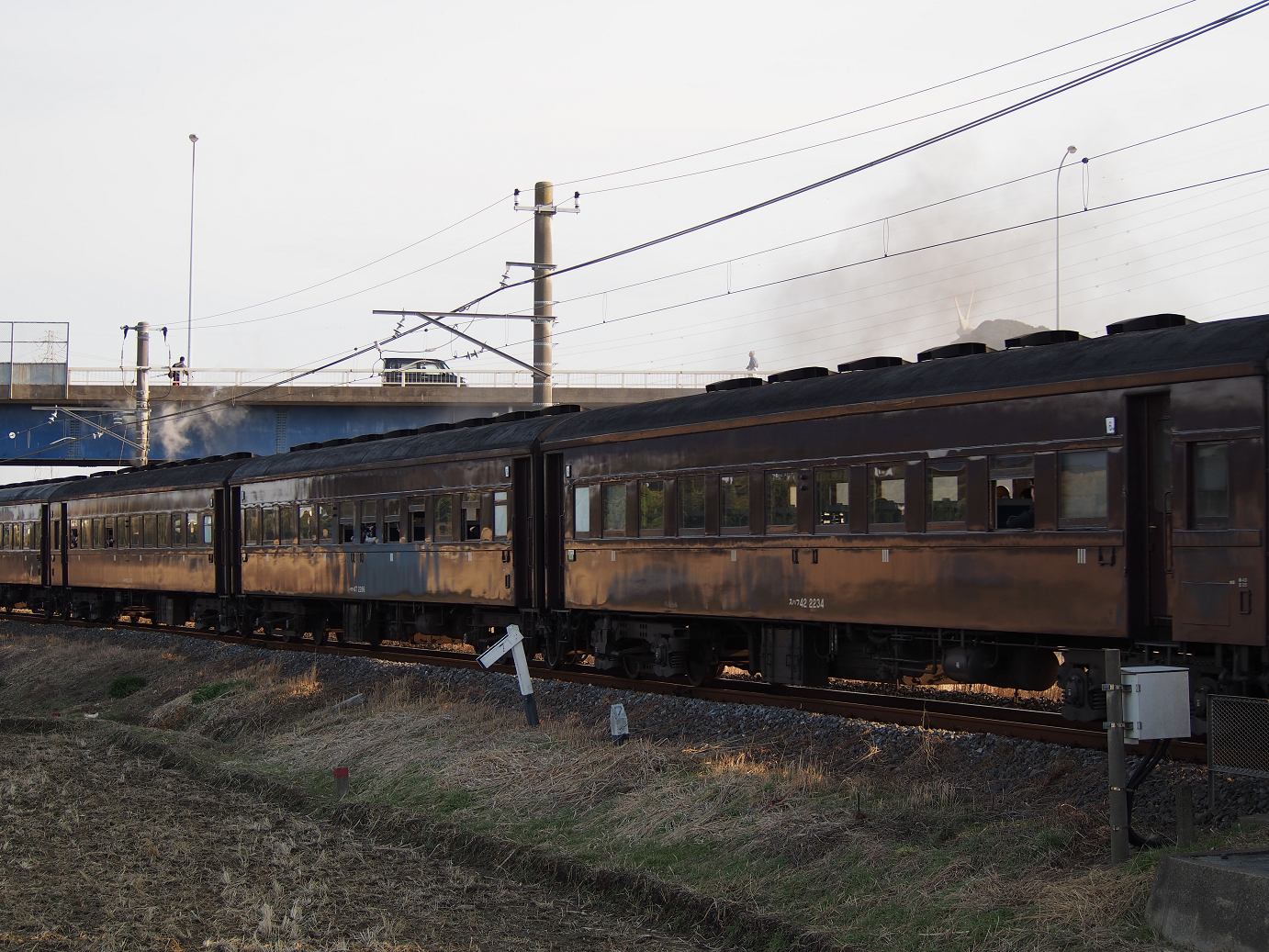 P2050905.jpg