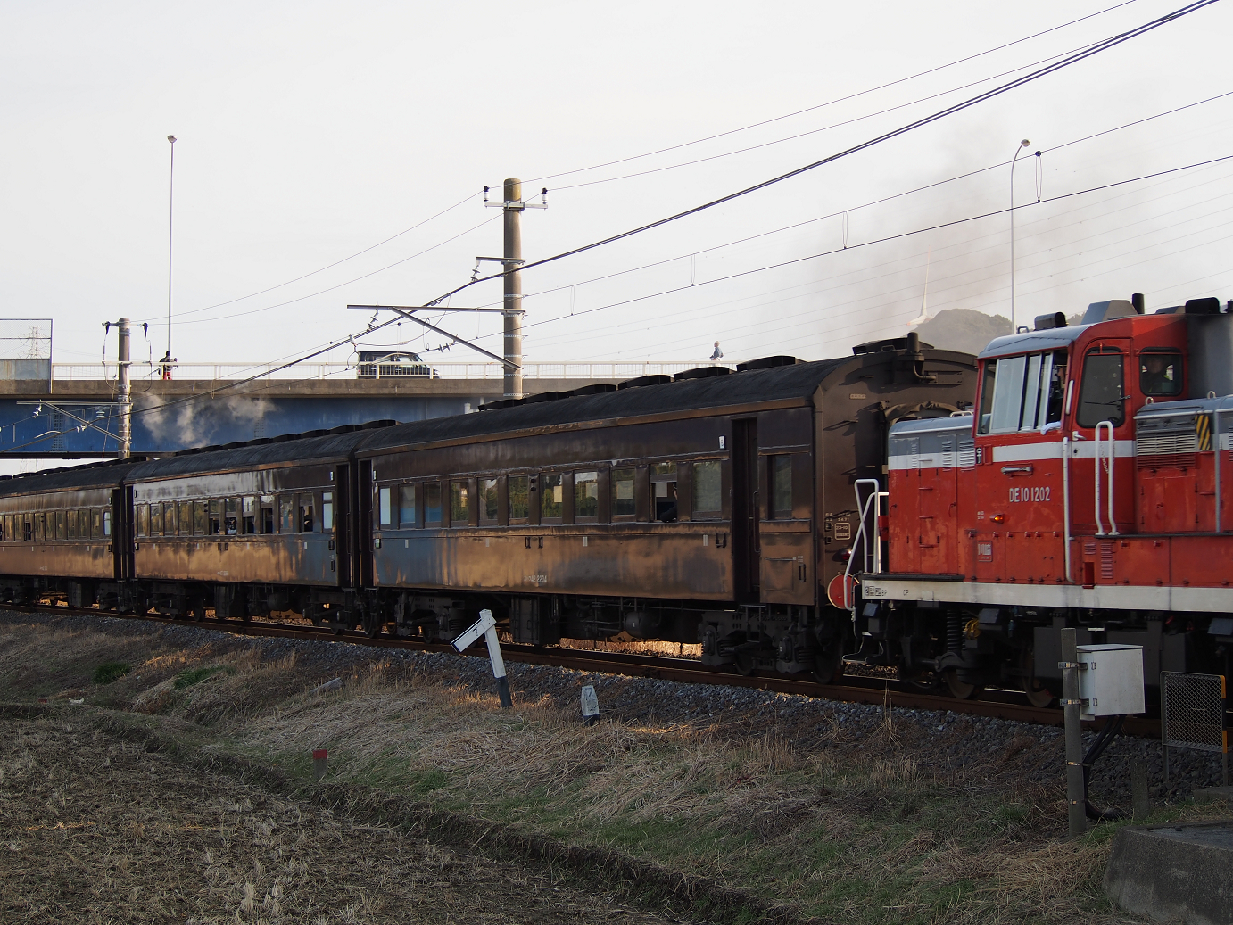 P2050907.jpg