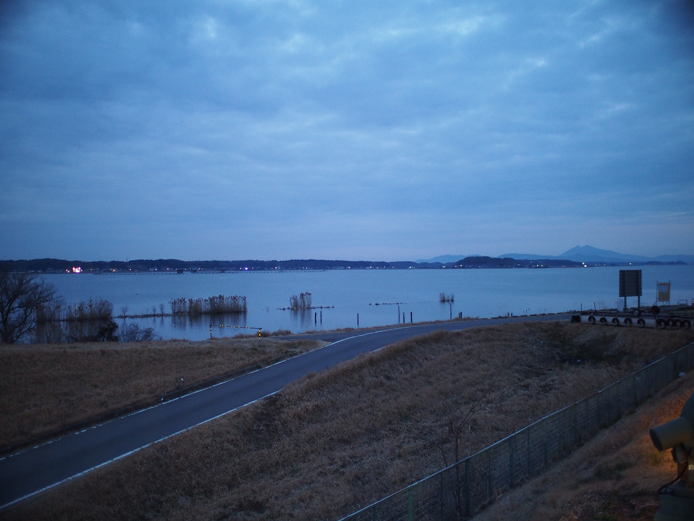 P2050925.jpg