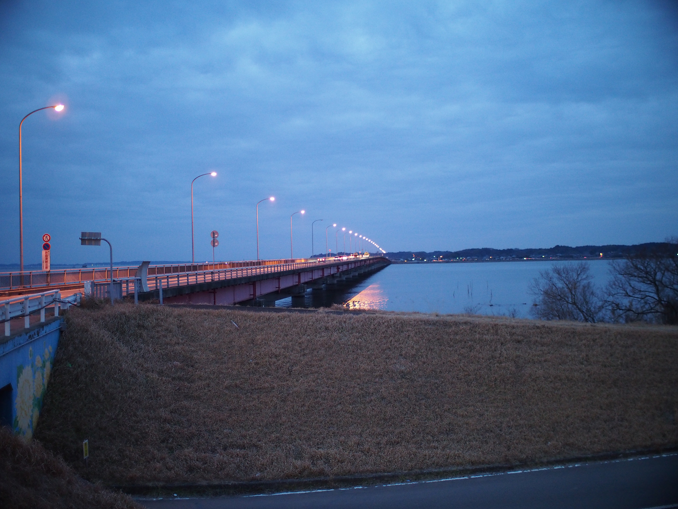 P2050926.jpg