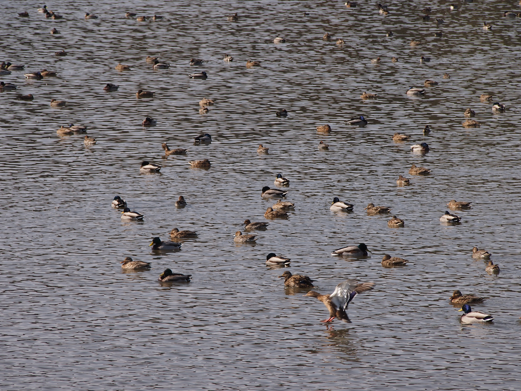 P2093758.jpg