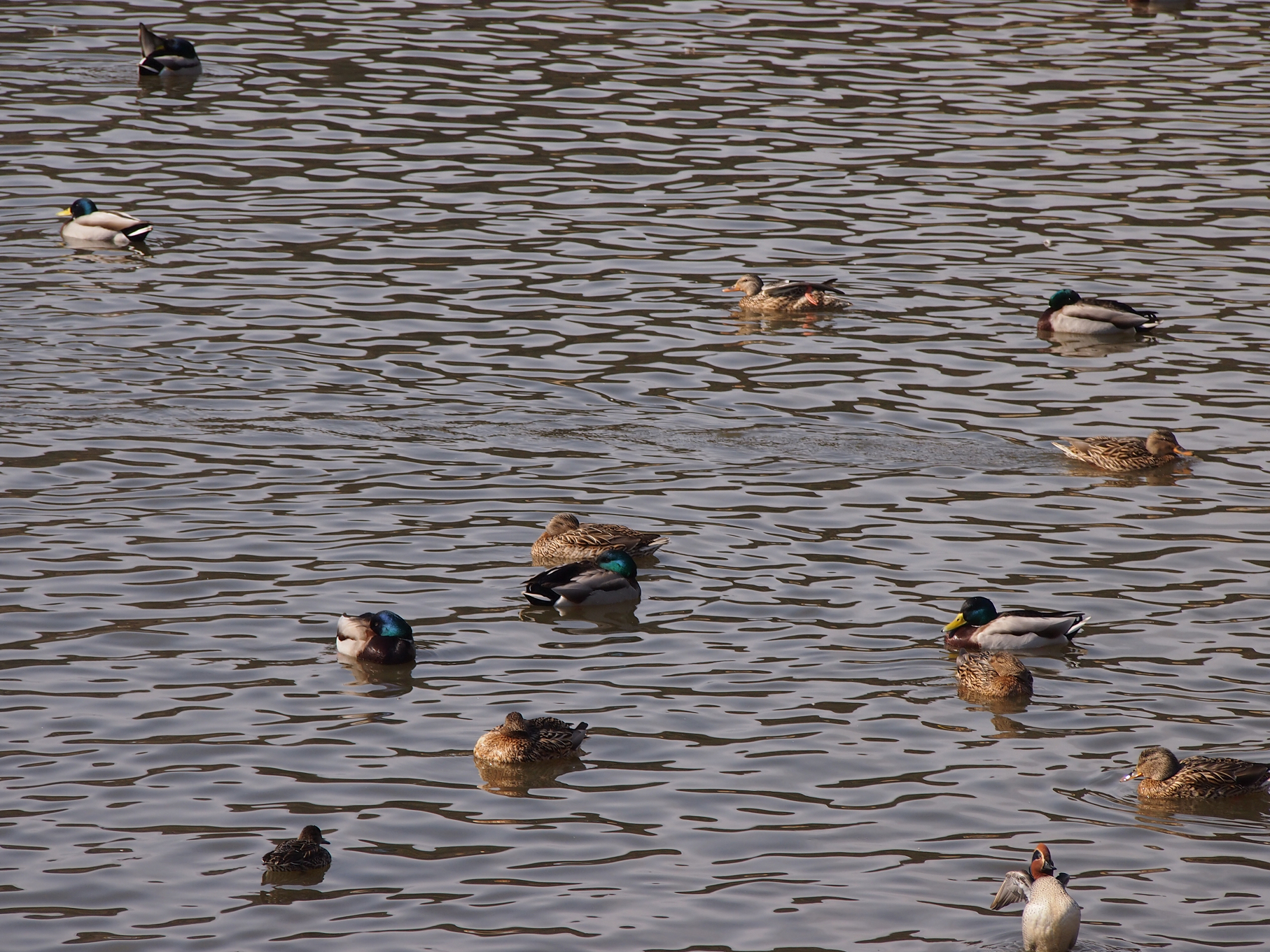 P2093759.jpg