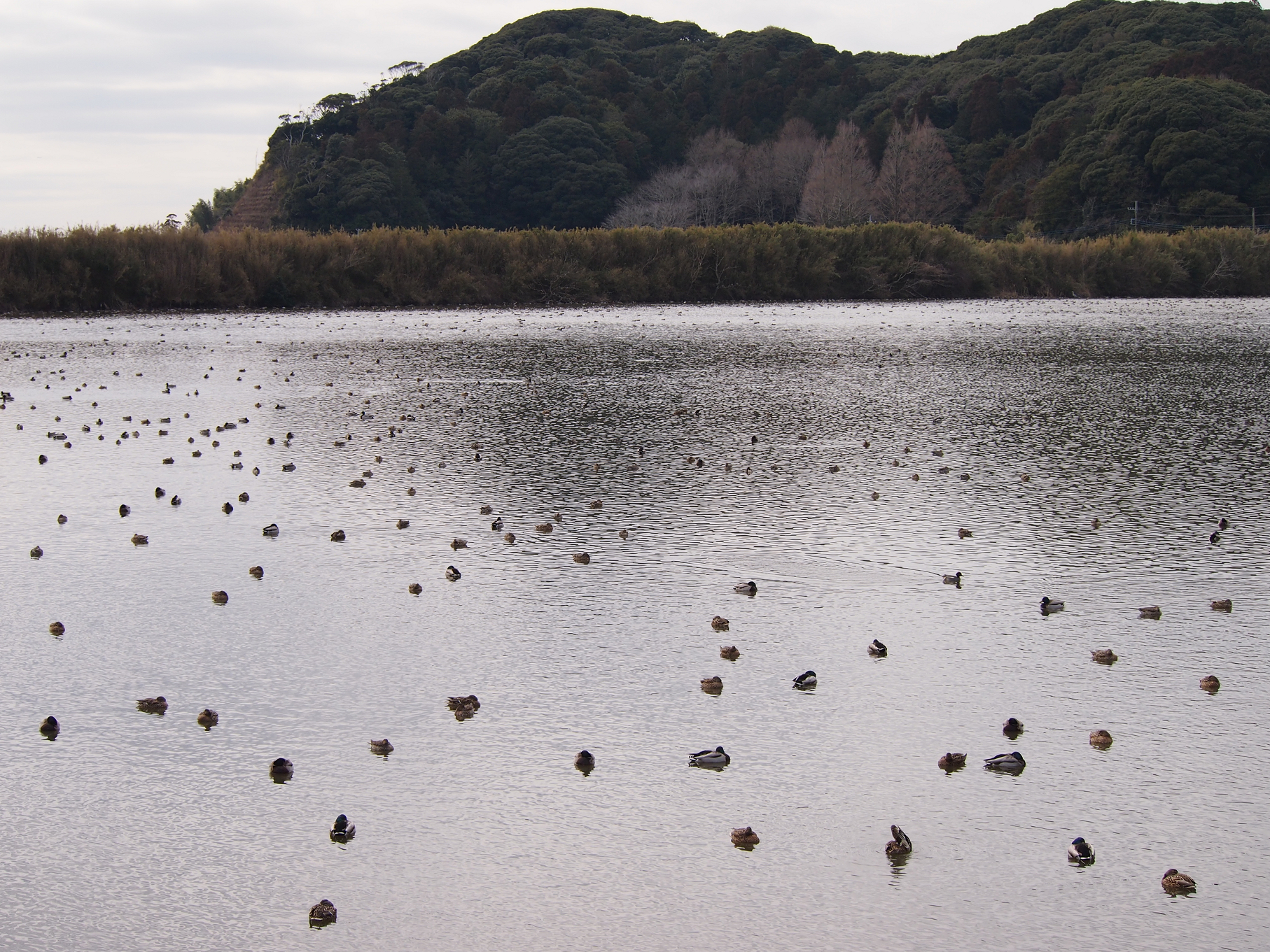 P2093789.jpg