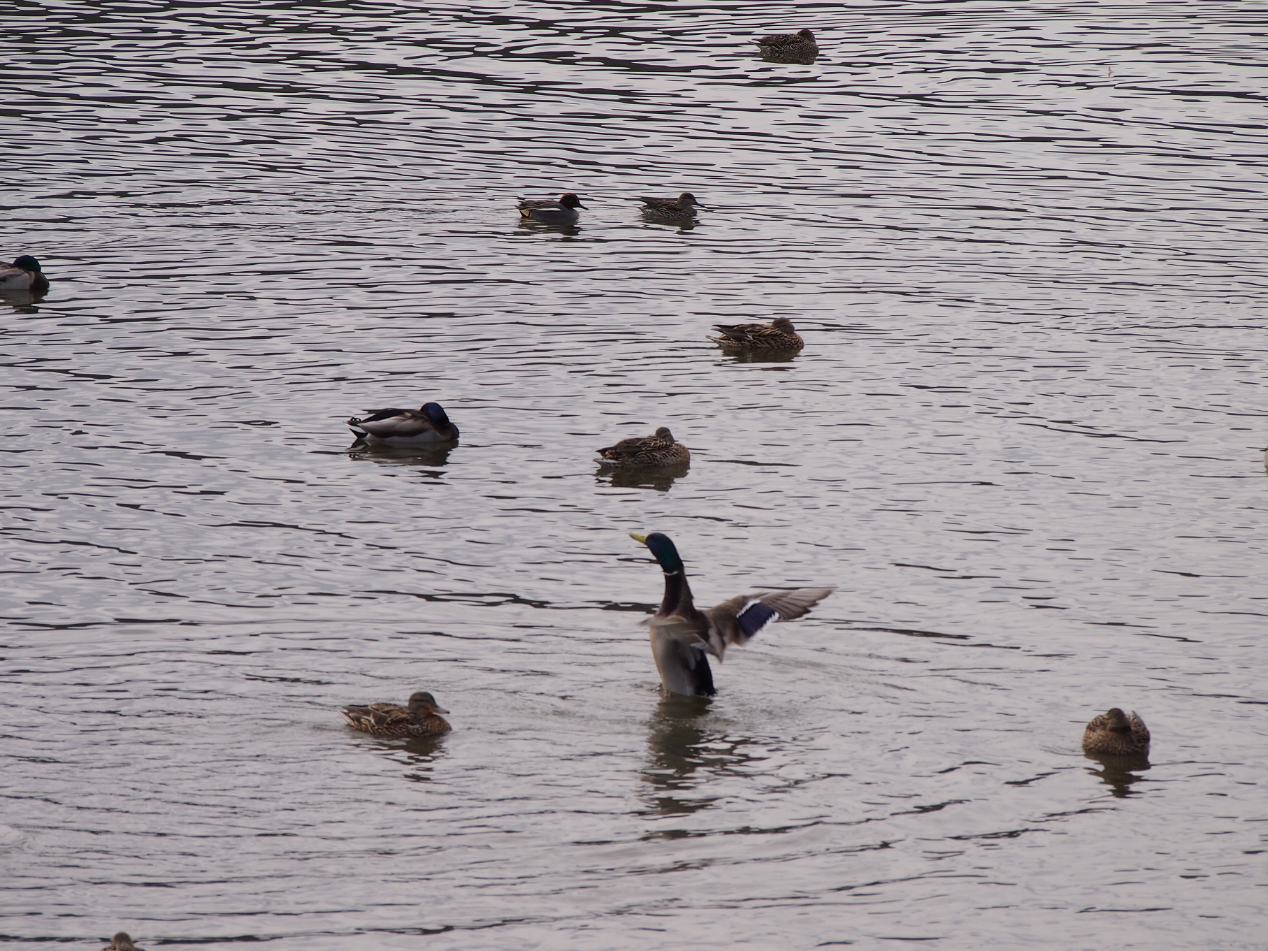 P2093791.jpg