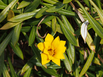 P2093799_thumb.png