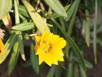 P2093800_thumb.png