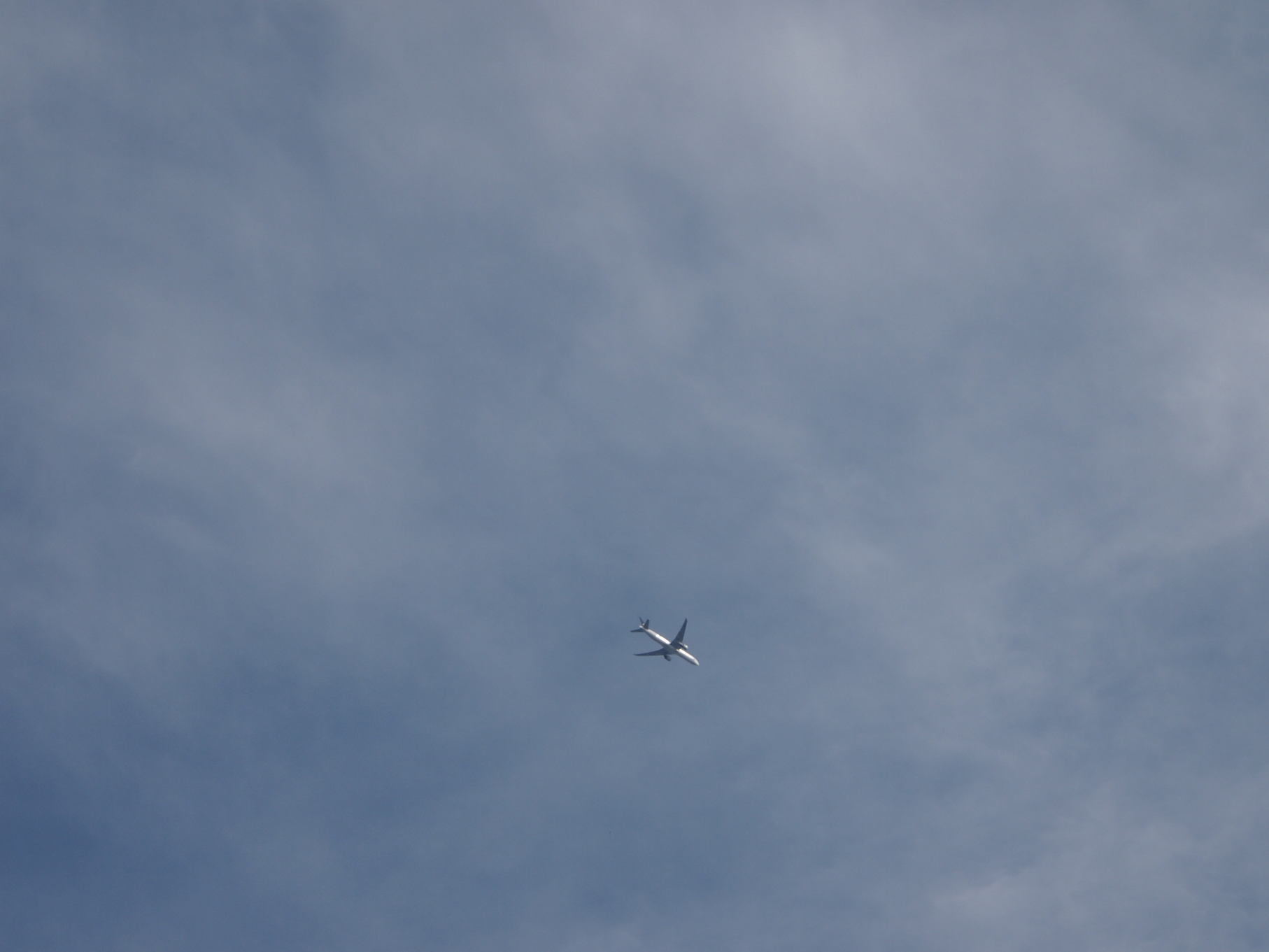 P2093807.jpg