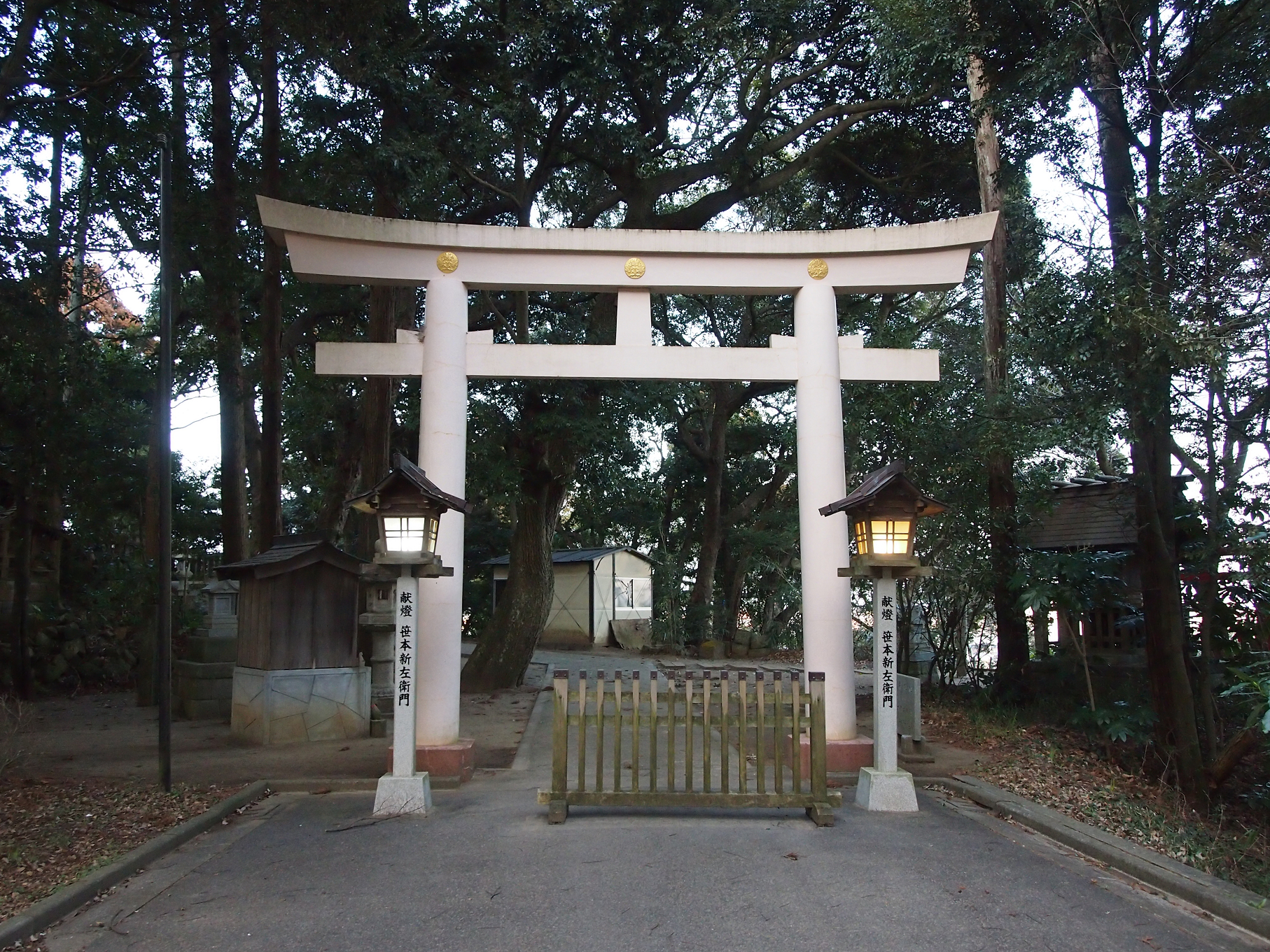 P2093822.jpg