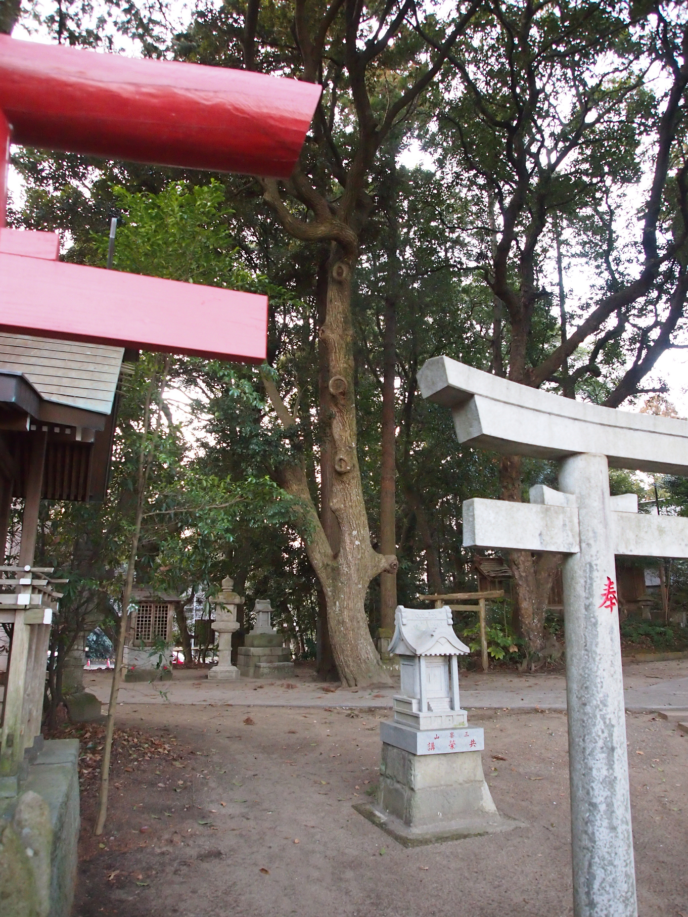 P2093824.jpg