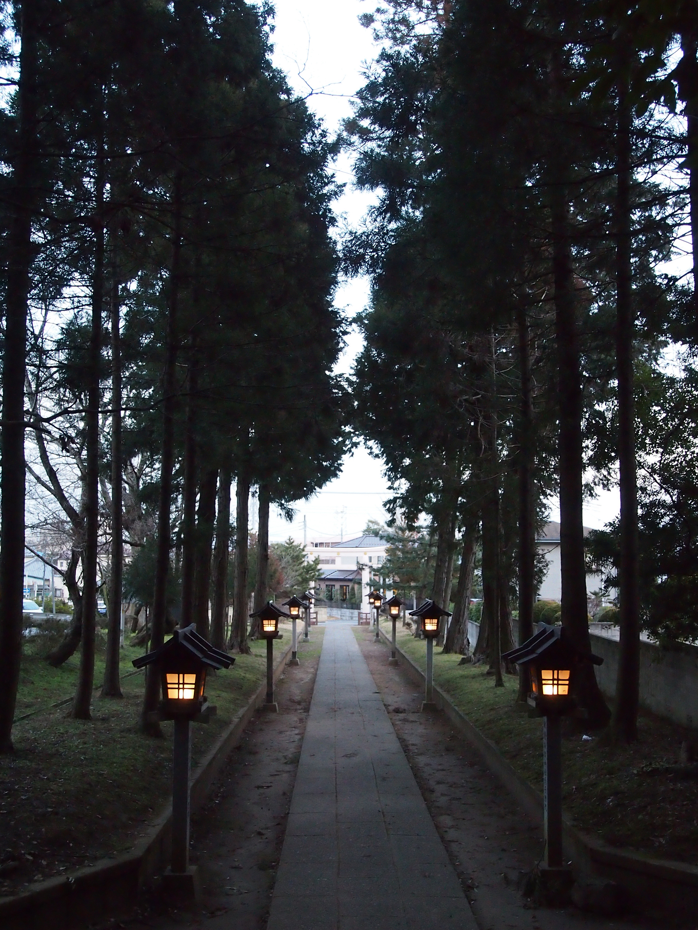 P2093828.jpg