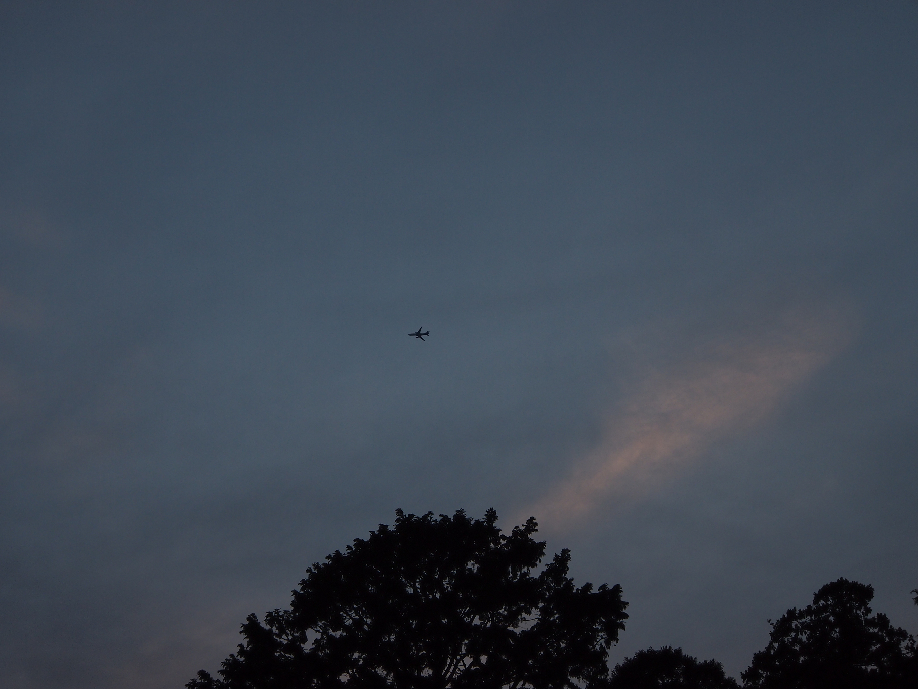 P2093830.jpg