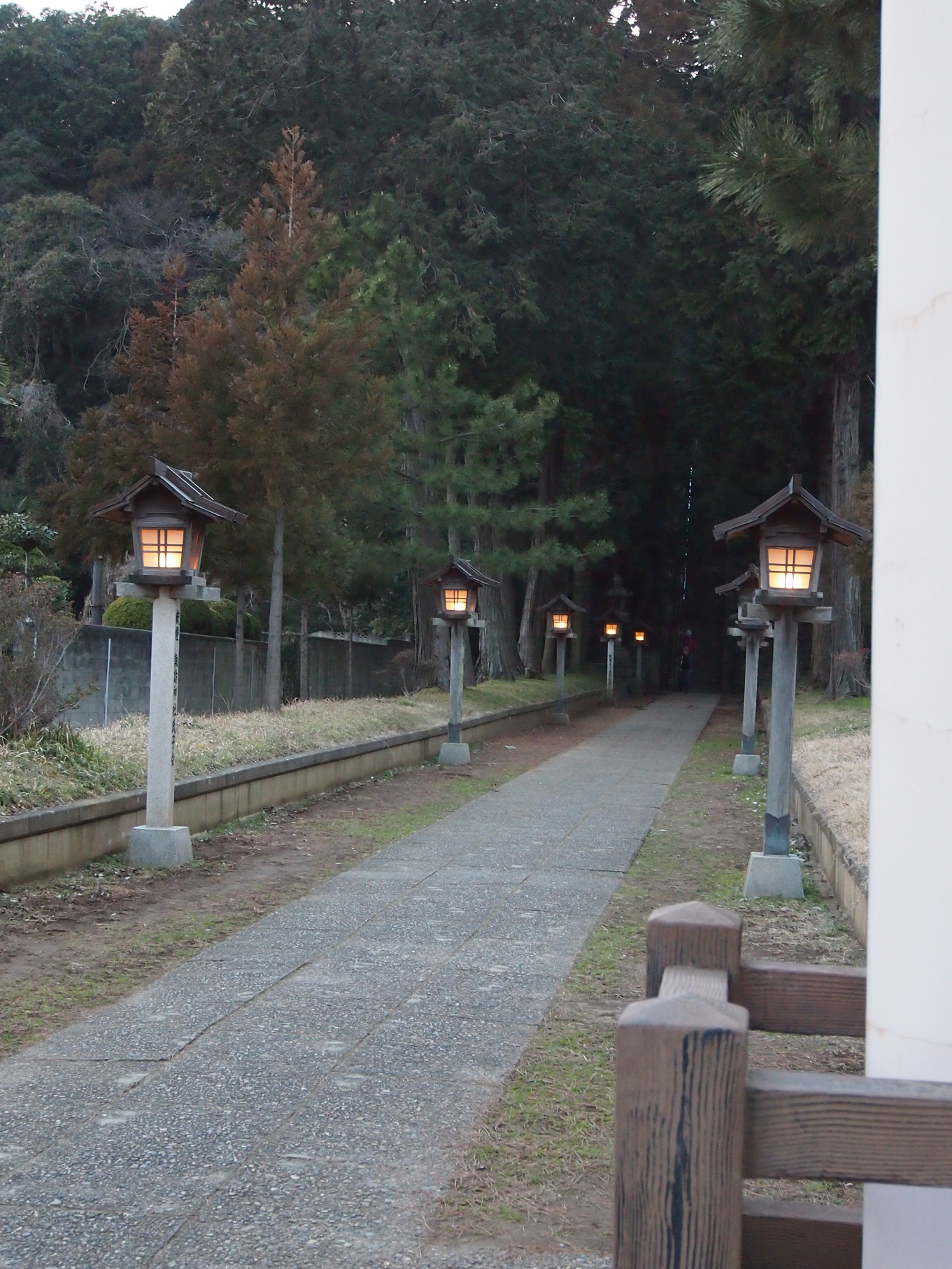 P2093831.jpg