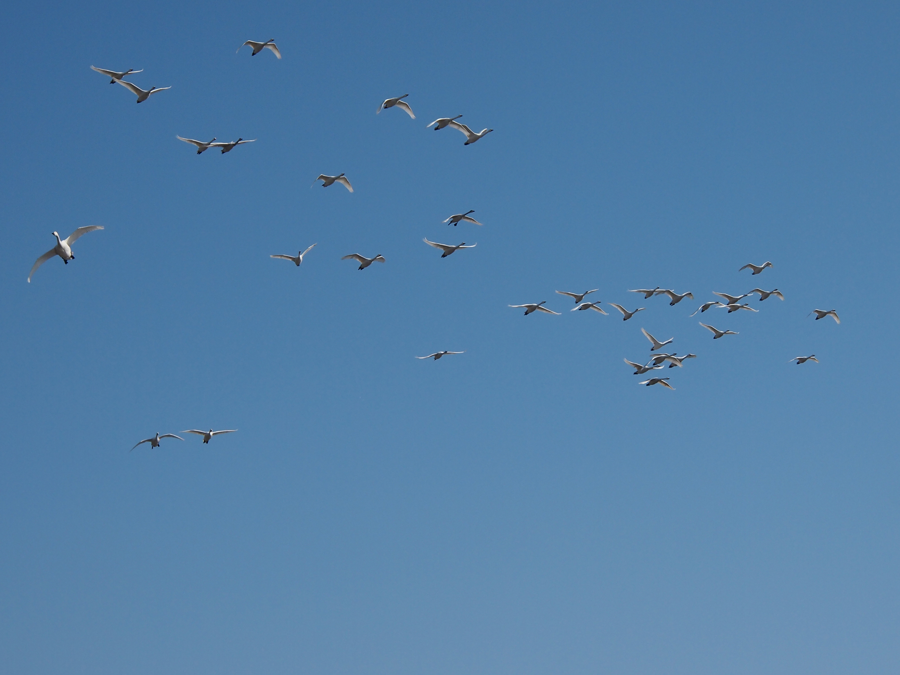 P2103846.jpg
