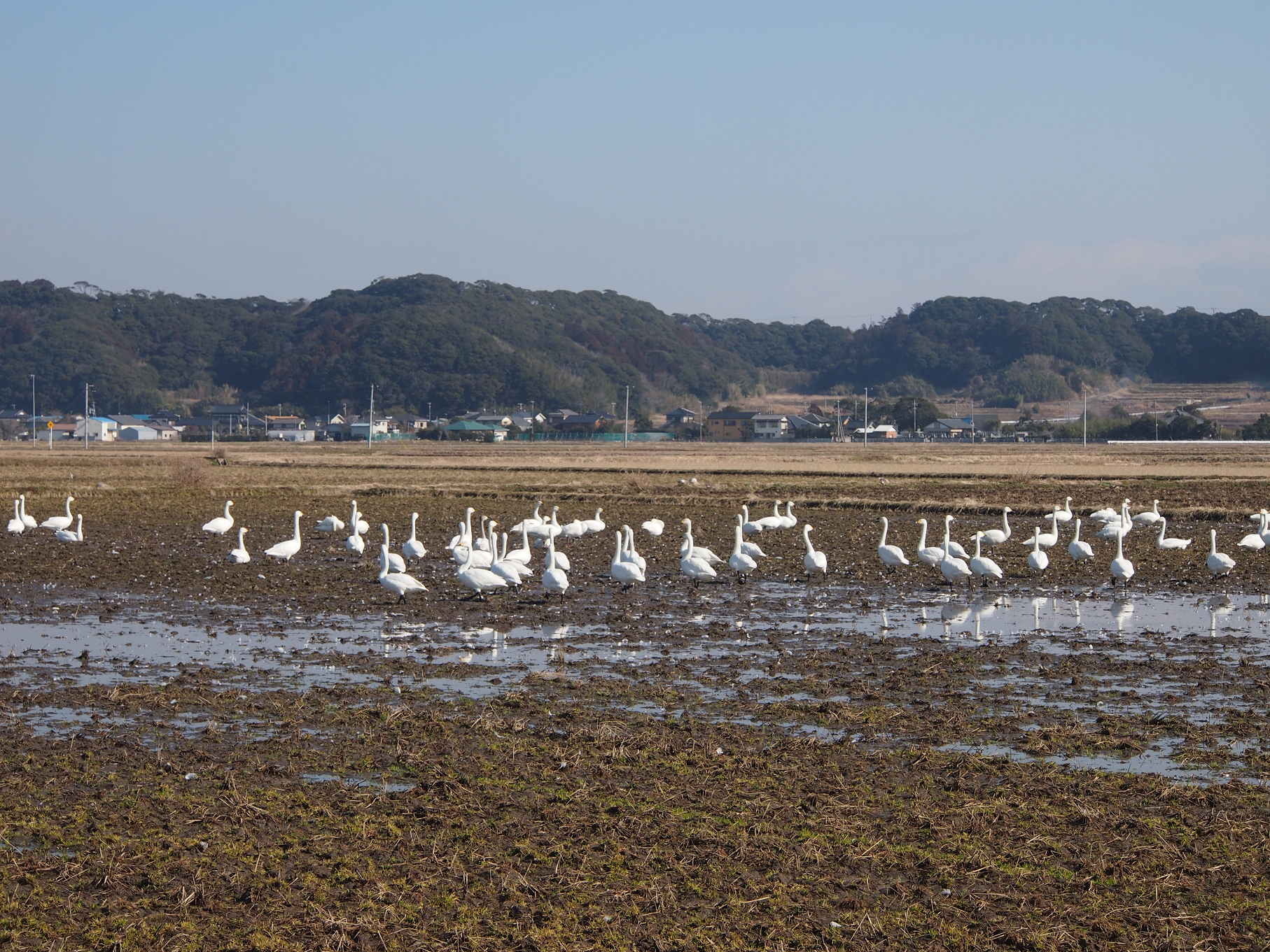 P2103852.jpg