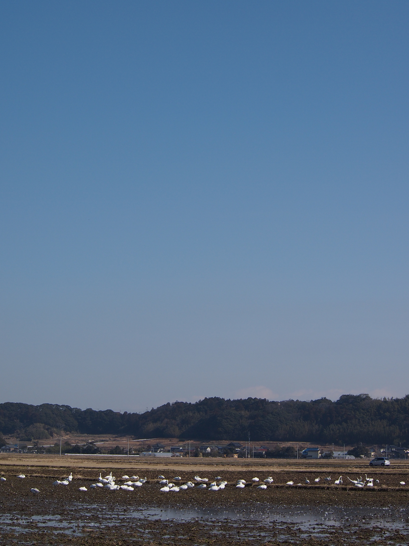 P2103882.jpg