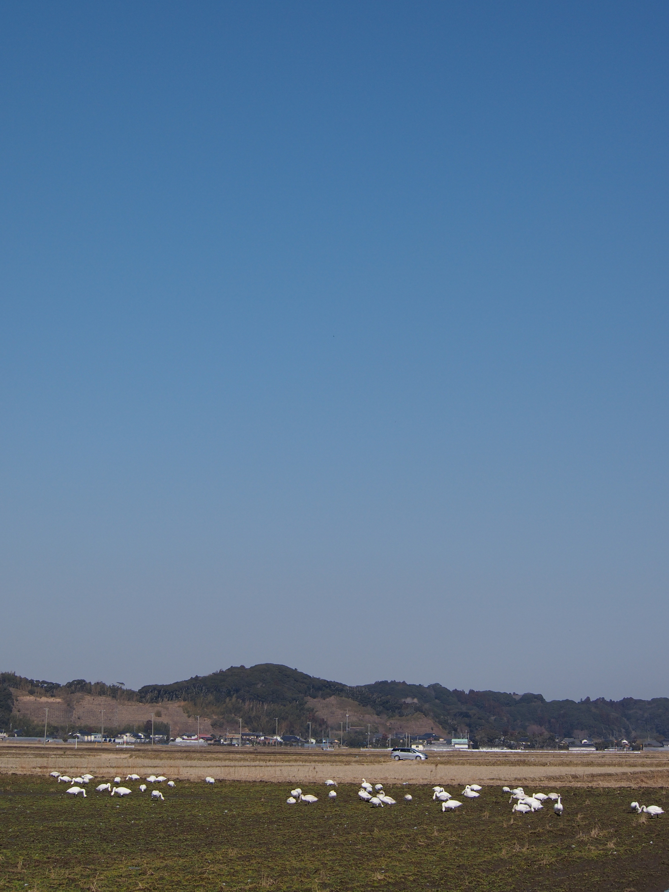 P2103883.jpg
