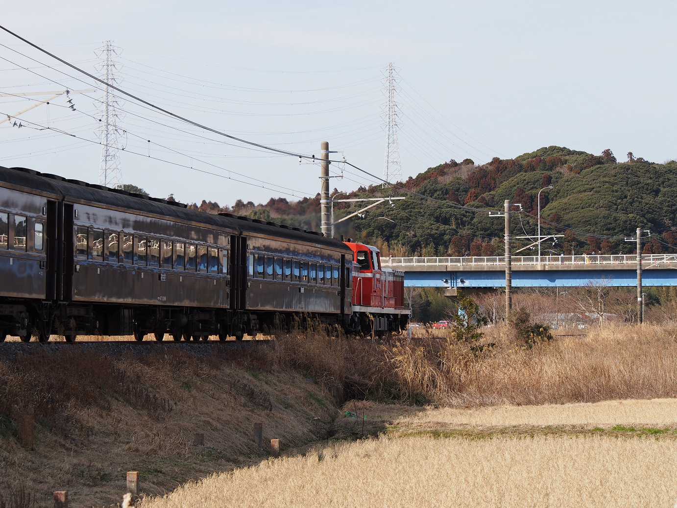 P2090010.jpg