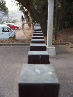 P2090154_thumb.png