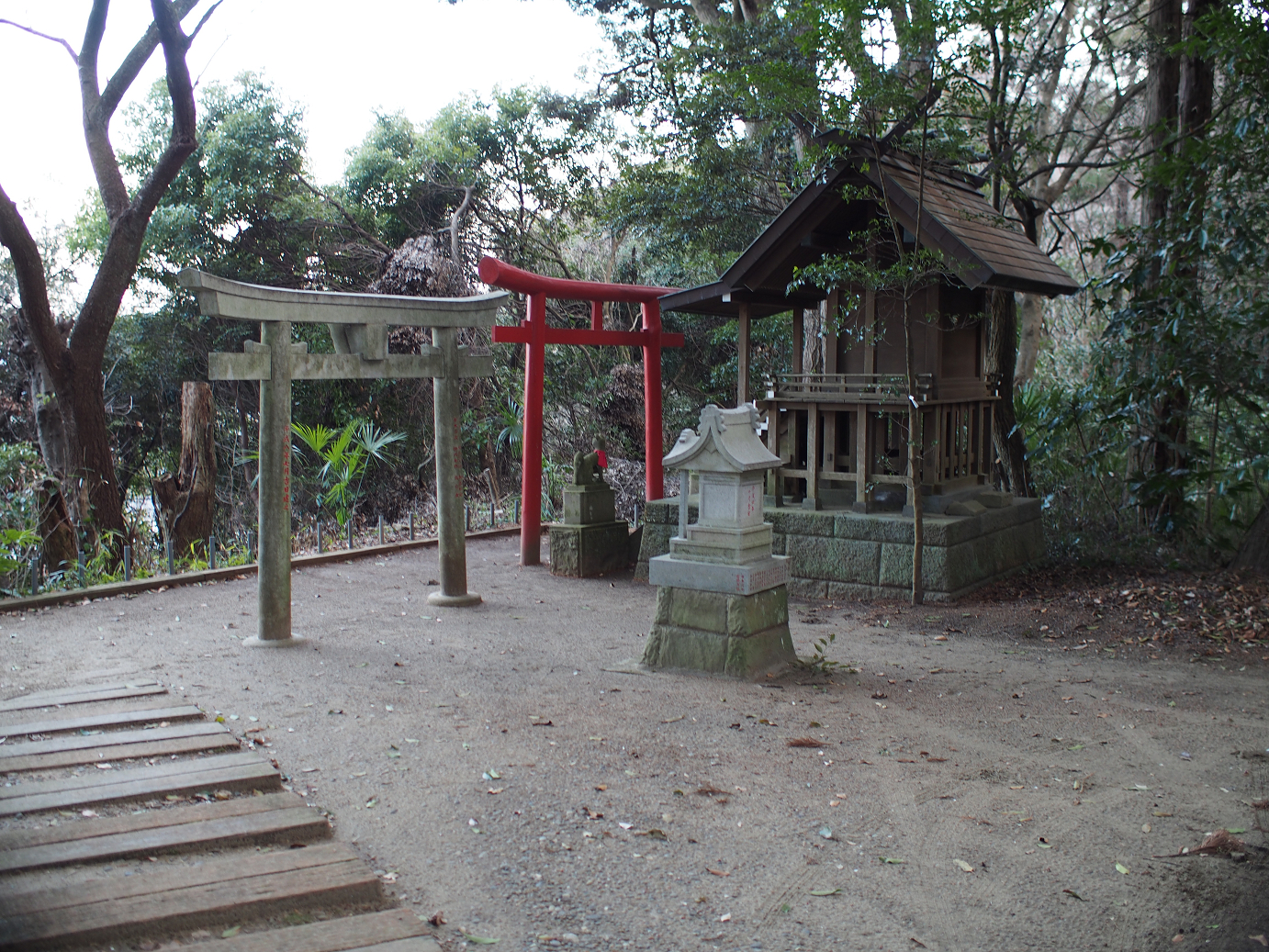 P2090163.jpg