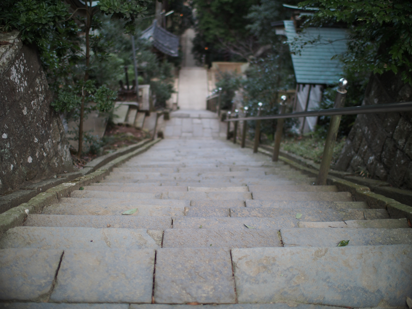 P2090167.jpg