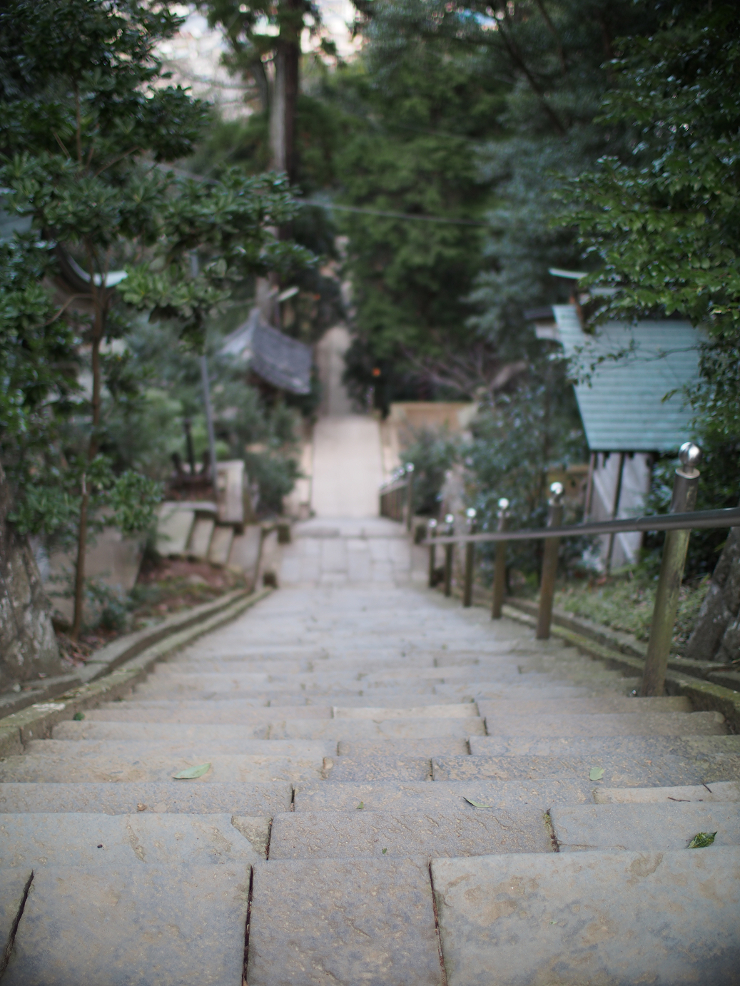 P2090168.jpg