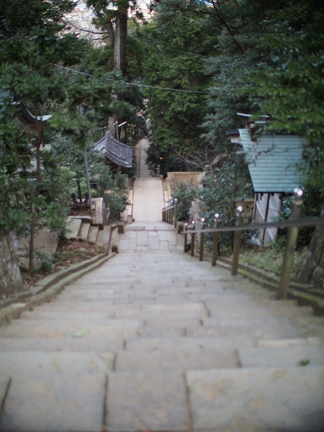 P2090169.jpg
