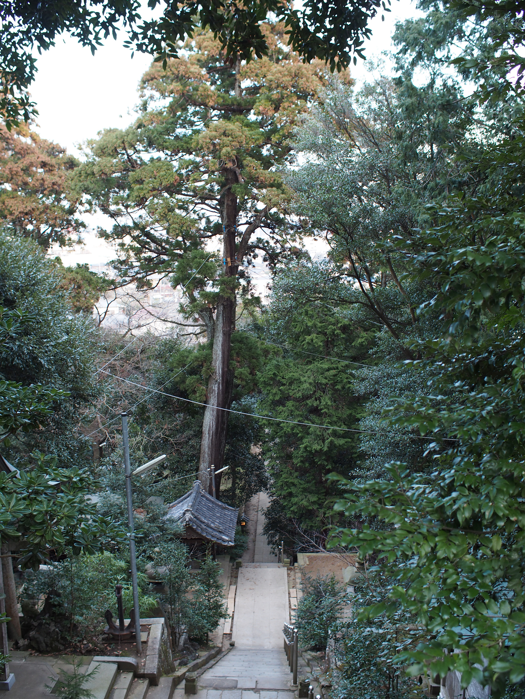 P2090170.jpg