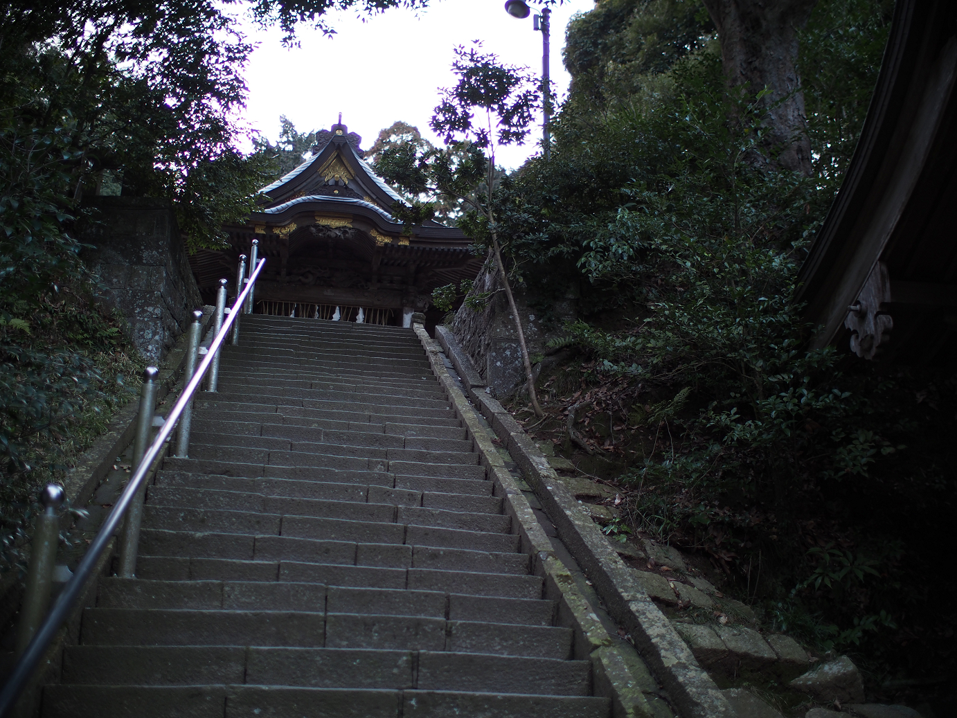 P2090178.jpg