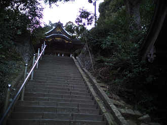 P2090178_thumb.png