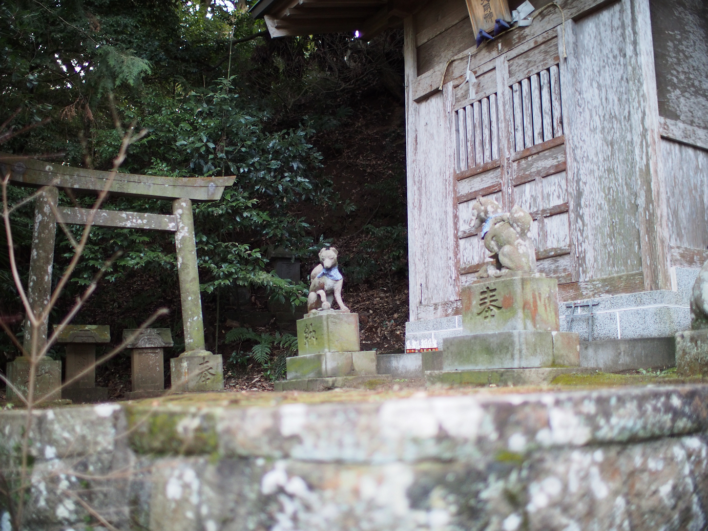 P2090181.jpg