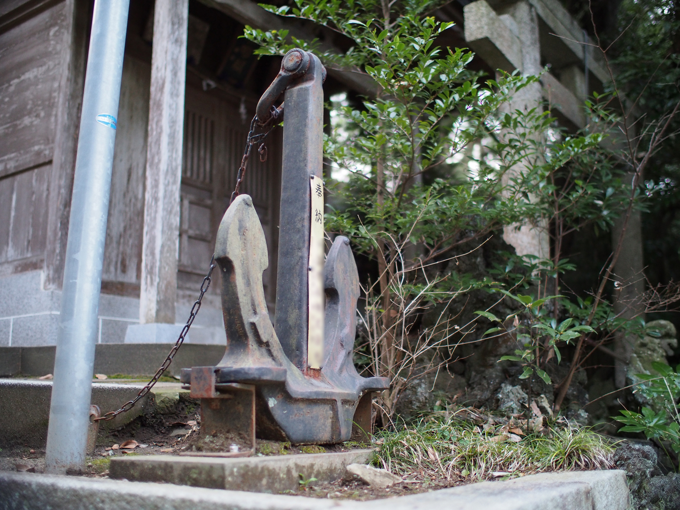P2090182.jpg