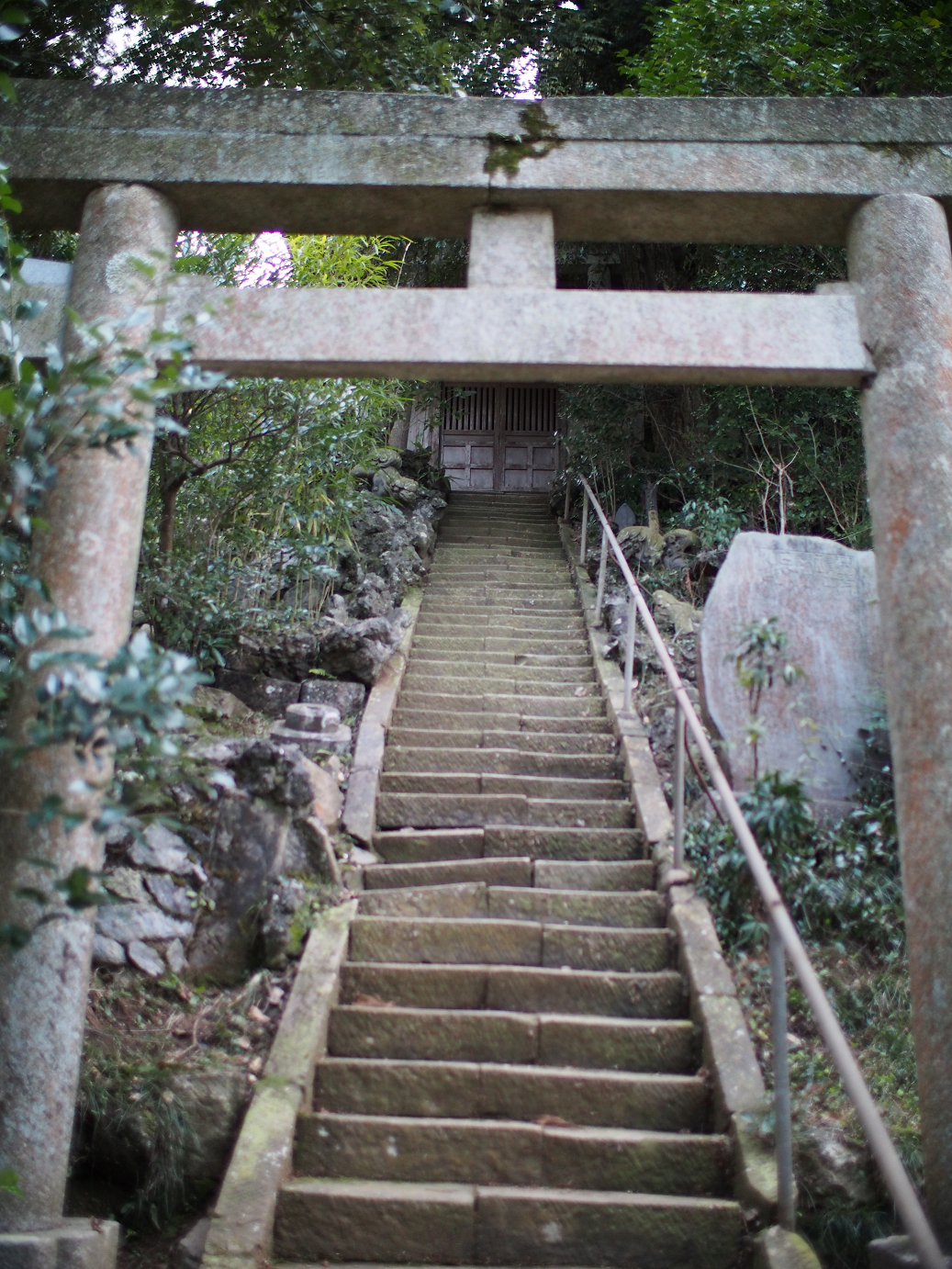 P2090185.jpg