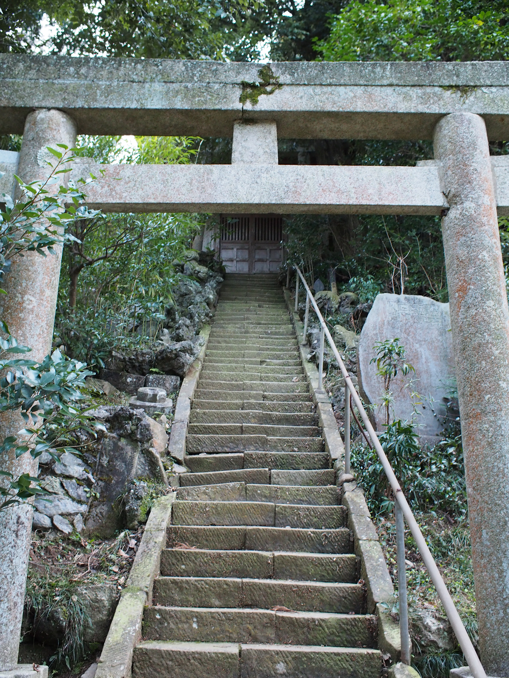 P2090186.jpg