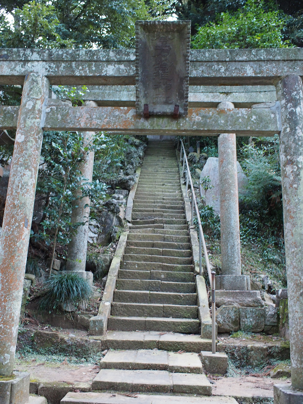 P2090187.jpg