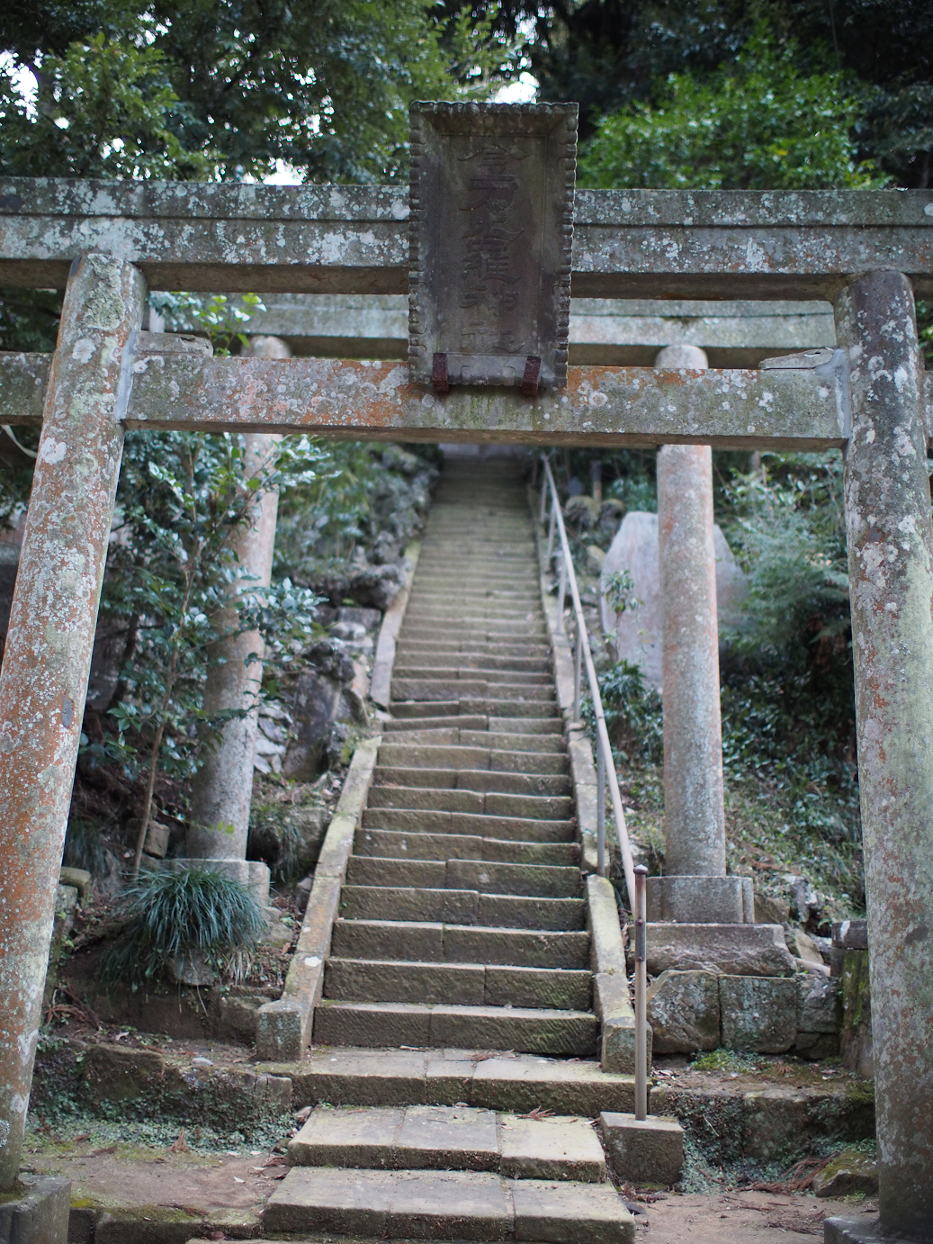 P2090188.jpg