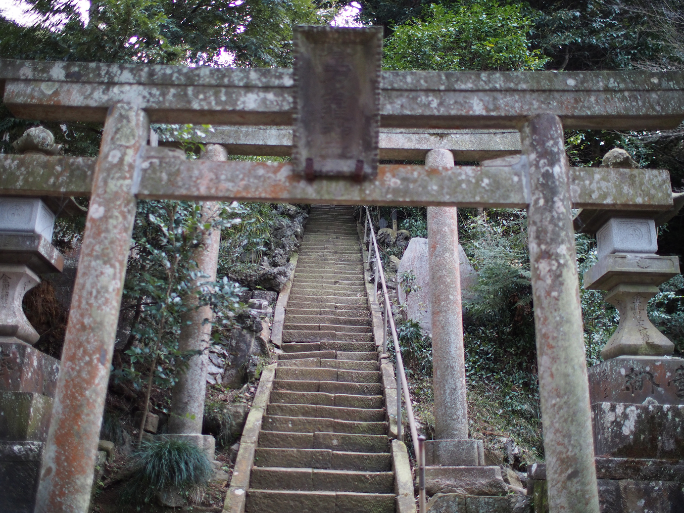 P2090189.jpg