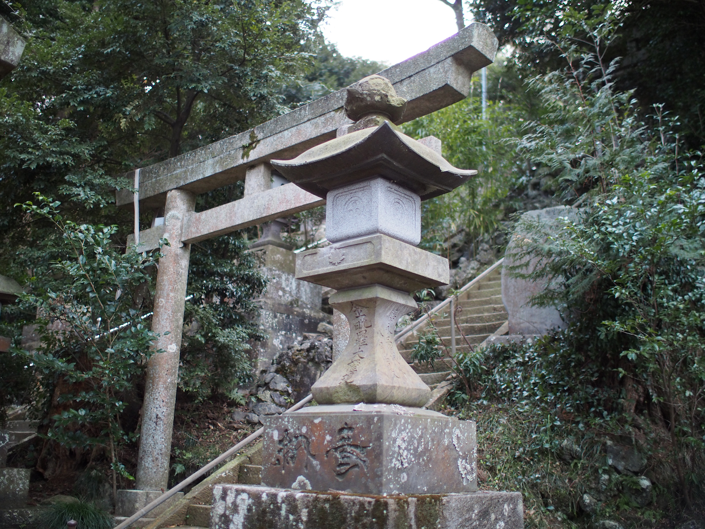 P2090190.jpg
