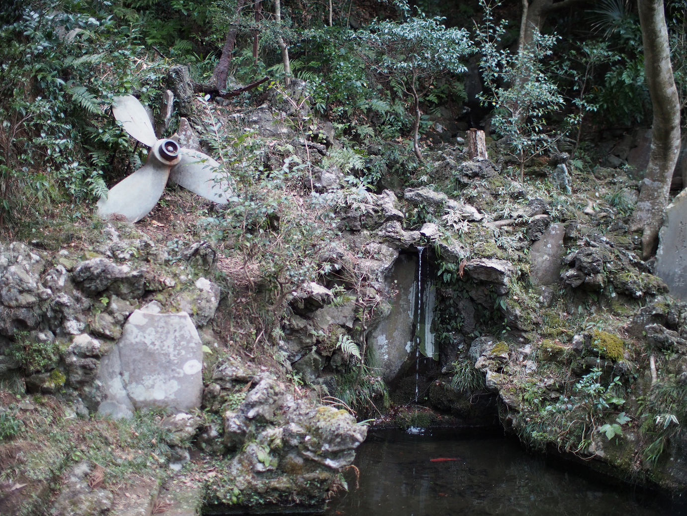 P2090192.jpg