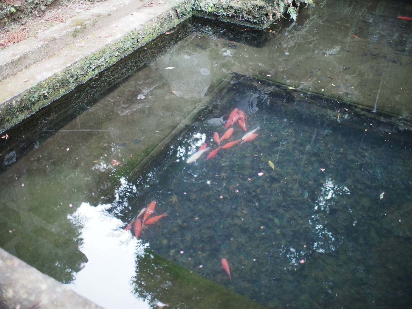 P2090198.jpg