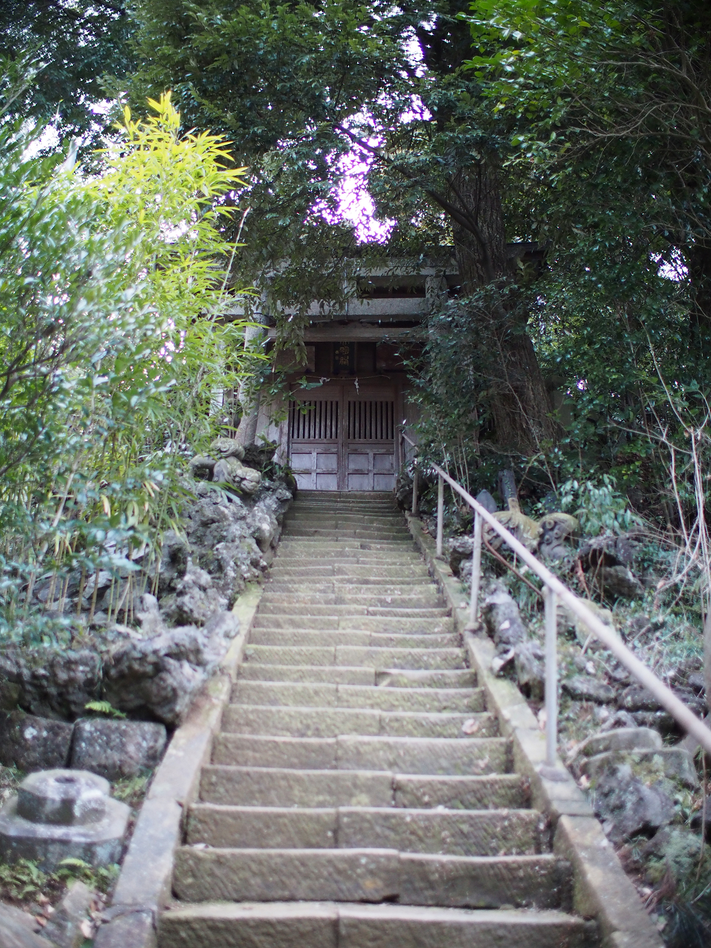 P2090199.jpg