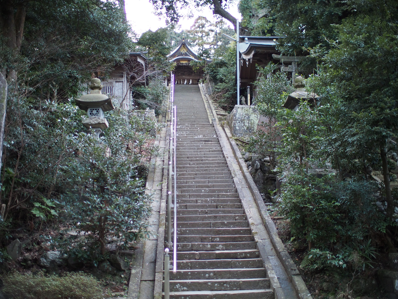 P2090204.jpg