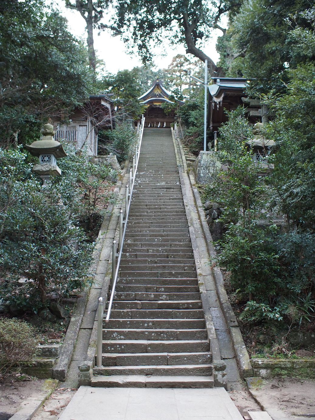 P2090206.jpg