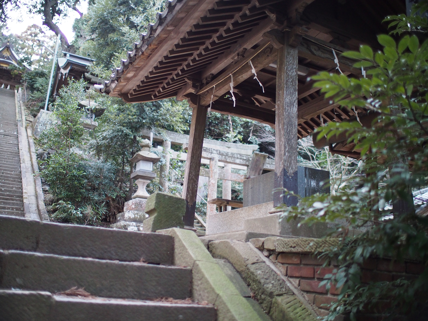 P2090207.jpg