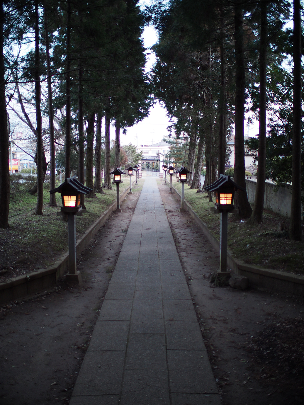 P2090208.jpg