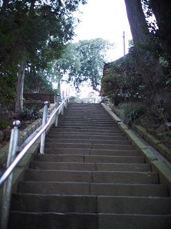 P2090209_thumb.png