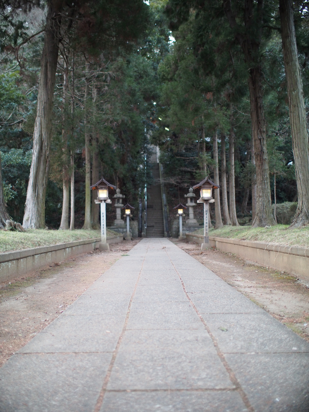 P2090212.jpg