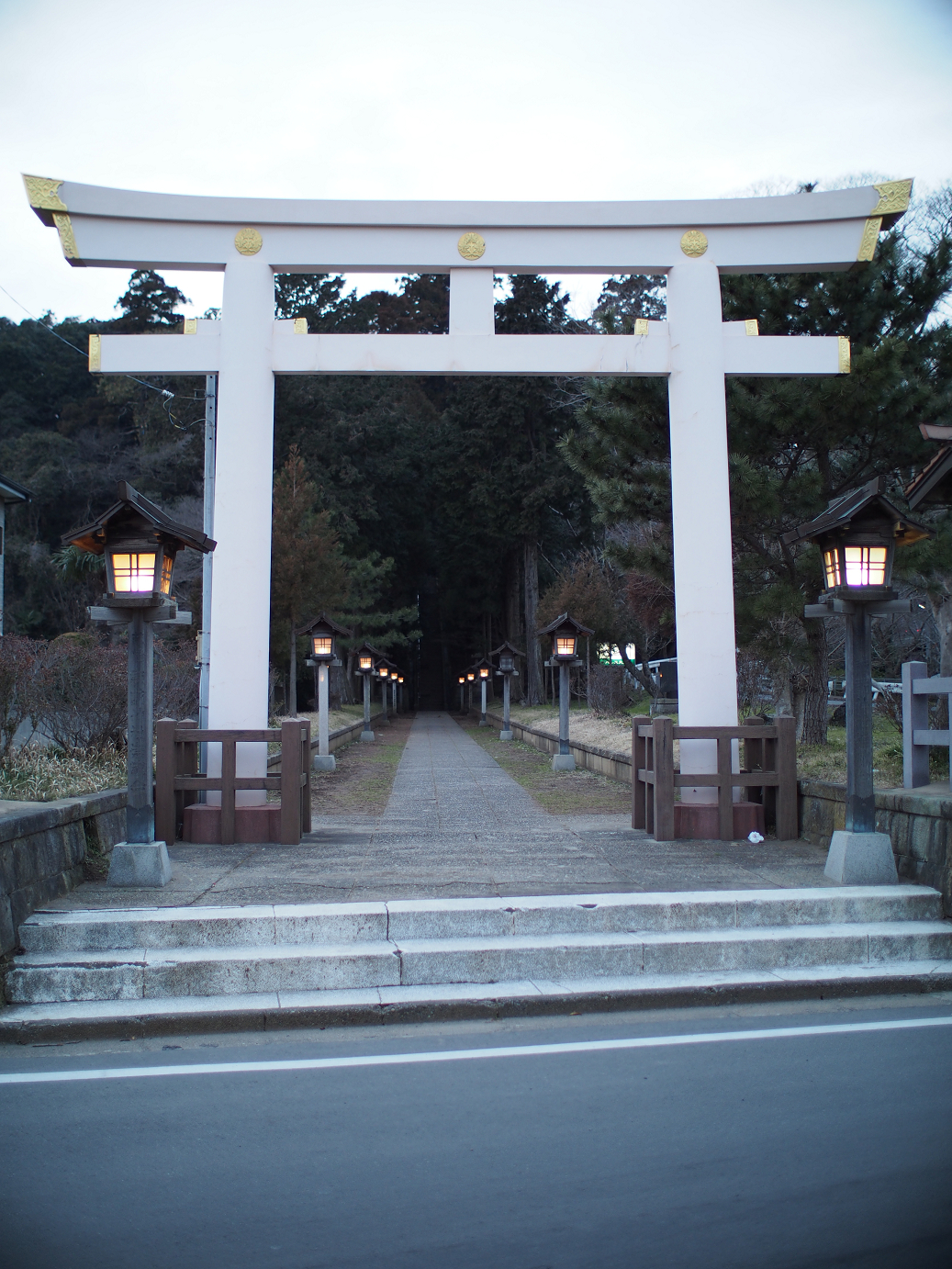 P2090222.jpg