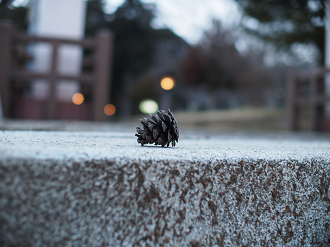 P2090228_thumb.png