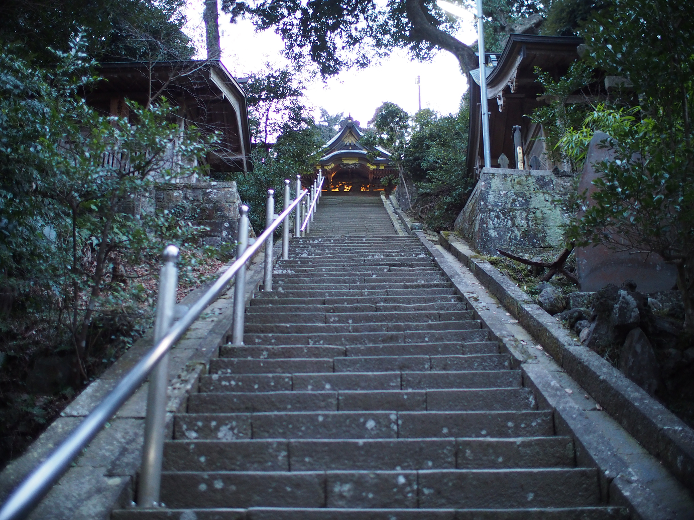 P2090245.jpg